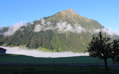 Wieder ins Berner Oberland